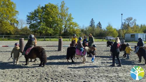 Les GS ont participé à la journée Poney école 